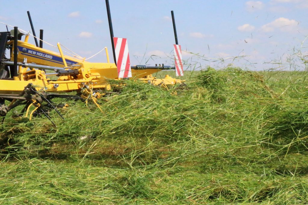 Green AGRO SHOW – the show of machines summary