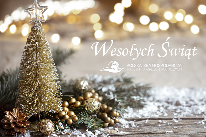 Wesołych Świąt i Szczęśliwego Nowego Roku!