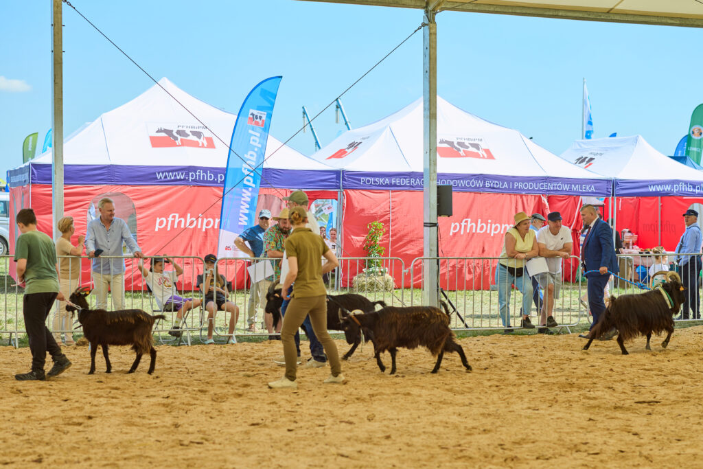 Zielone AGRO SHOW 2026-Podsumowanie wystawy i pokazów maszyn