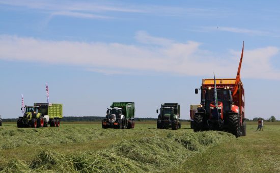 Zielone AGRO SHOW – filmy z pokazów