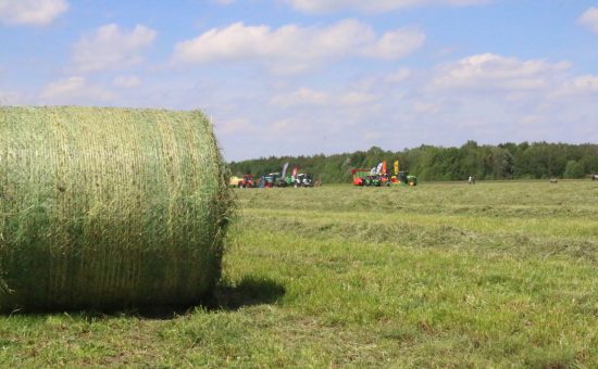 Zielone AGRO SHOW 2019