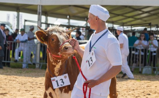 20.05.2023 Motopark Ułęź . Zielone Agroshow . Fot. Mikolaj Kuras