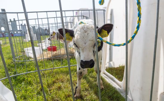 20.05.2023 Motopark Ułęź . Zielone Agroshow . Fot. Mikolaj Kuras