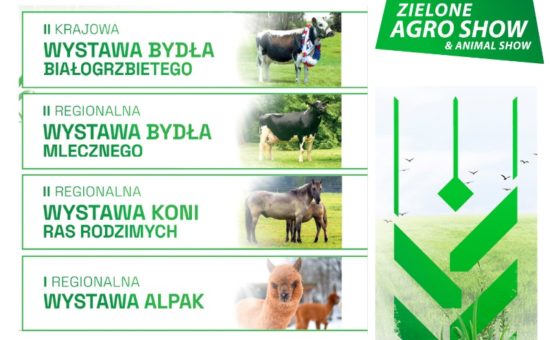 Wystawy zwierząt hodowlanych